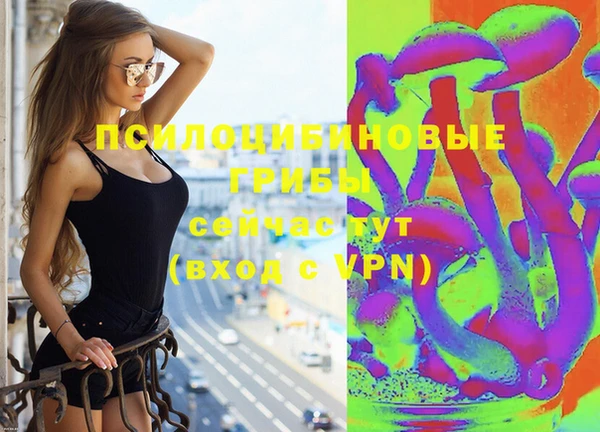 винт Аркадак