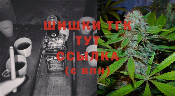 спиды Арсеньев