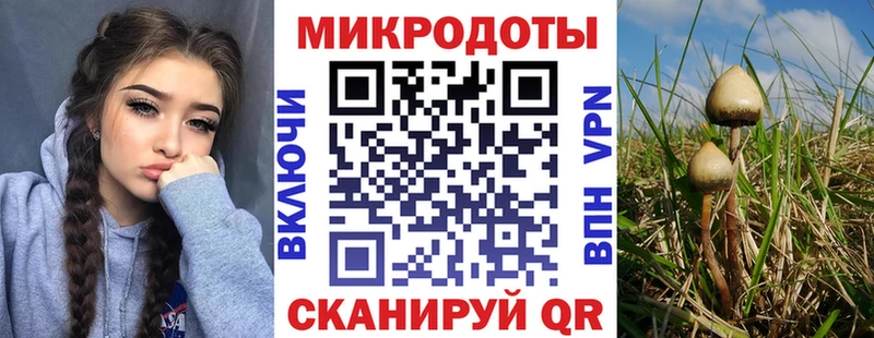 omg зеркало  Новый Уренгой  Галлюциногенные грибы Psilocybine cubensis 
