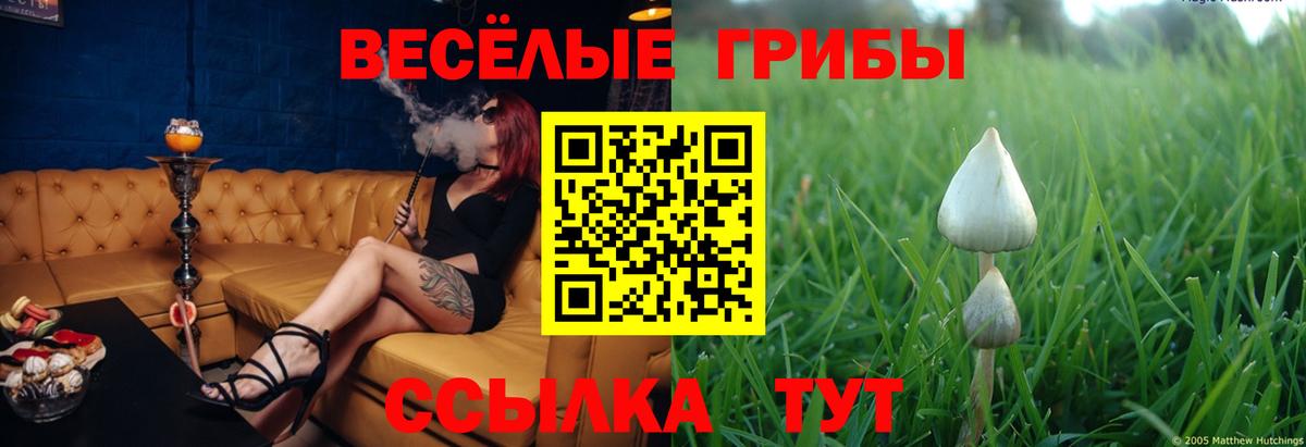 Псилоцибиновые грибы GOLDEN TEACHER Новый Уренгой