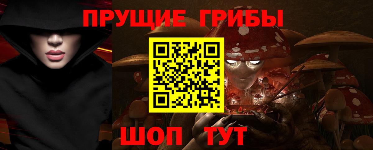 закладки  Вход с VPN  Новый Уренгой  Галлюциногенные грибы Magic Shrooms 