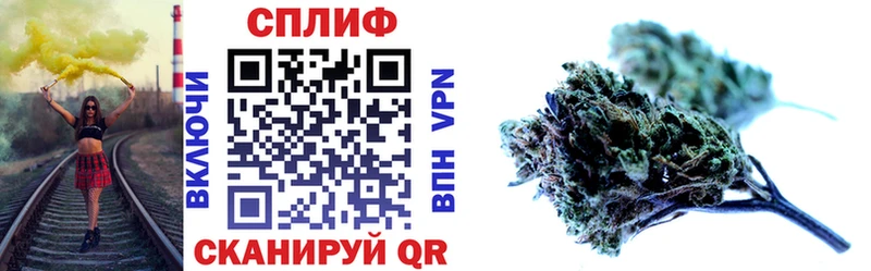 MEGA ONION  купить наркотики цена  Новый Уренгой  Марихуана White Widow 