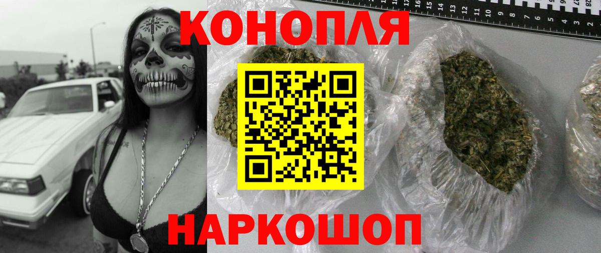 Каннабис планчик Новый Уренгой